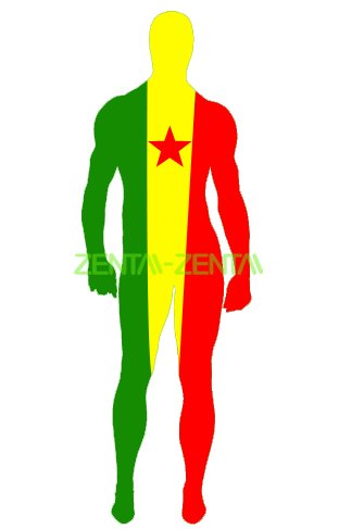 Cameroon Flag Spandex Lycra Zentai Suit