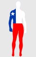 Chile Flag Spandex Lycra Zentai Suit