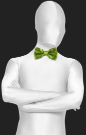 Fruit Green Satin Bow Tie