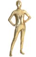 Gold Shadow Stitch Pattern Shiny Metallic Zentai Suit