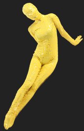 Limited! Yellow with Gold Strips Full Body Shiny Metallic Unisex Zentai Suit
