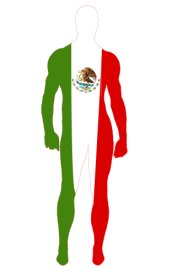 Mexico Flag Spandex Lycra Zentai Suit