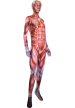 Muscle Printed Zentai Suit | Attack on Titan Bodysuit