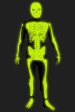 NEW! Glow in Dark Skeleton Printed Zentai Suit