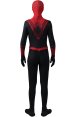 Spider-Assassin | S-guy Printed Spandex Lycra Costume