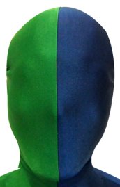Split Zentai Mask | Green and Blue