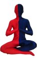 Split Zentai | Red and Navy Spandex Lycra Zentai Suit