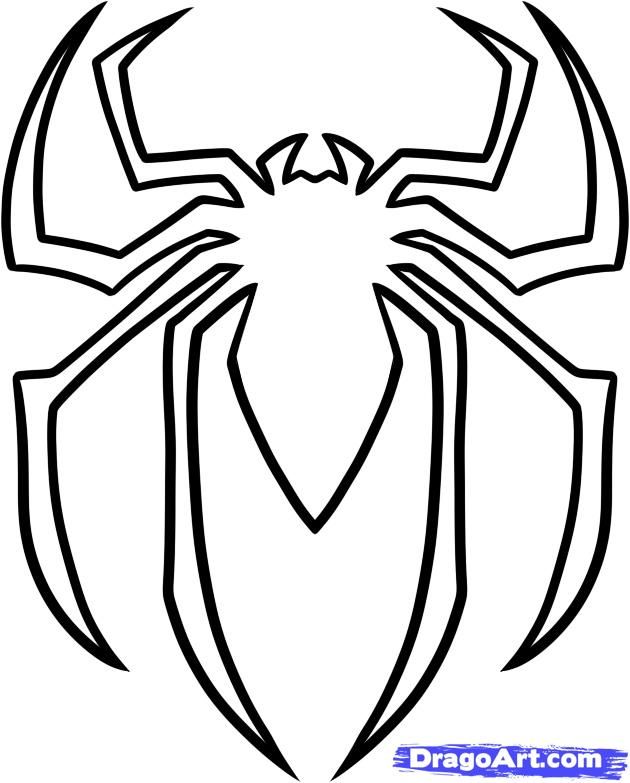 Spider_Matt